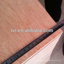 manufacturing plant packing Plywood